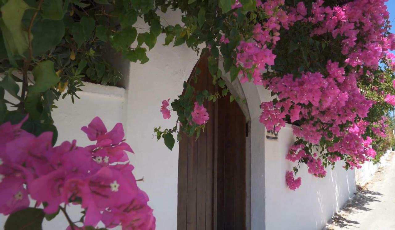 Alexiszorba Villa Plaka  Exterior foto